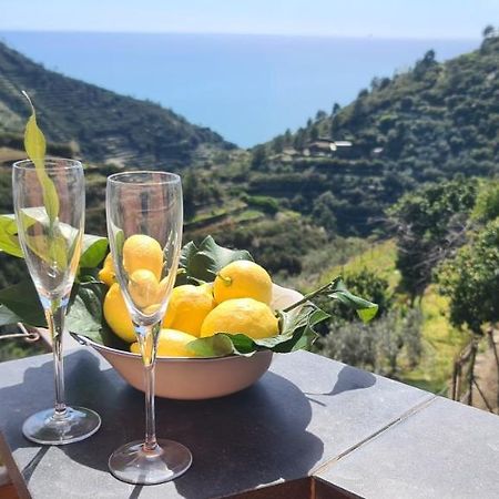 ☆ Terrace & Relax ☆ Casa Franceschin_ Homy 5 Terre Villa Riomaggiore Buitenkant foto