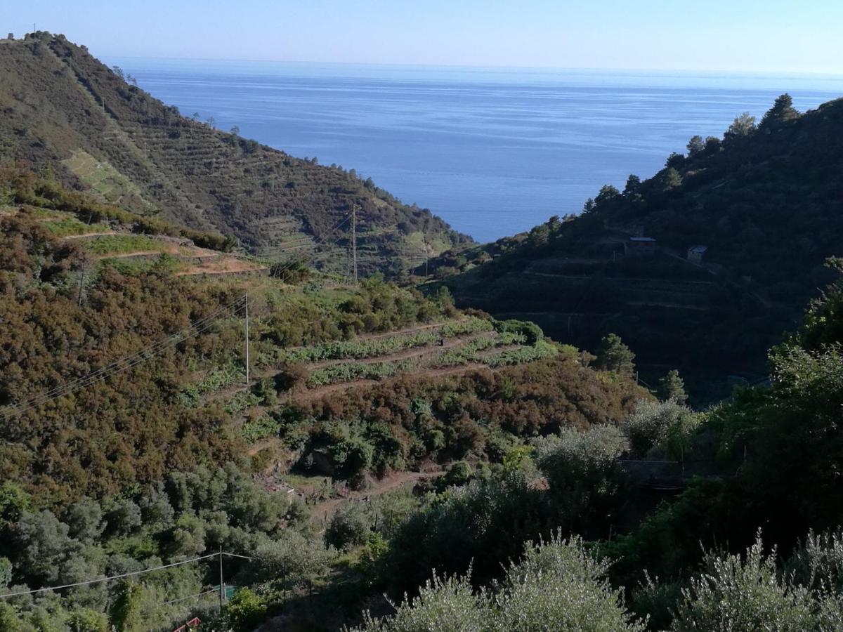 ☆ Terrace & Relax ☆ Casa Franceschin_ Homy 5 Terre Villa Riomaggiore Buitenkant foto