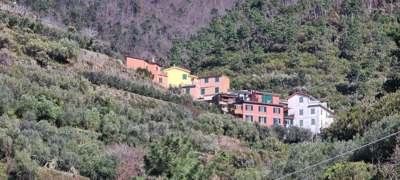 ☆ Terrace & Relax ☆ Casa Franceschin_ Homy 5 Terre Villa Riomaggiore Buitenkant foto